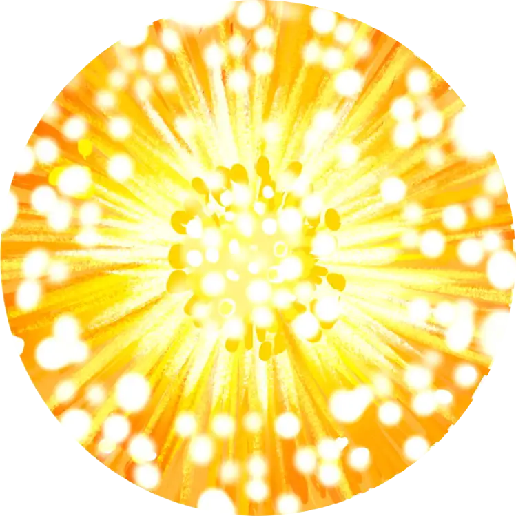 fleur de lumière
