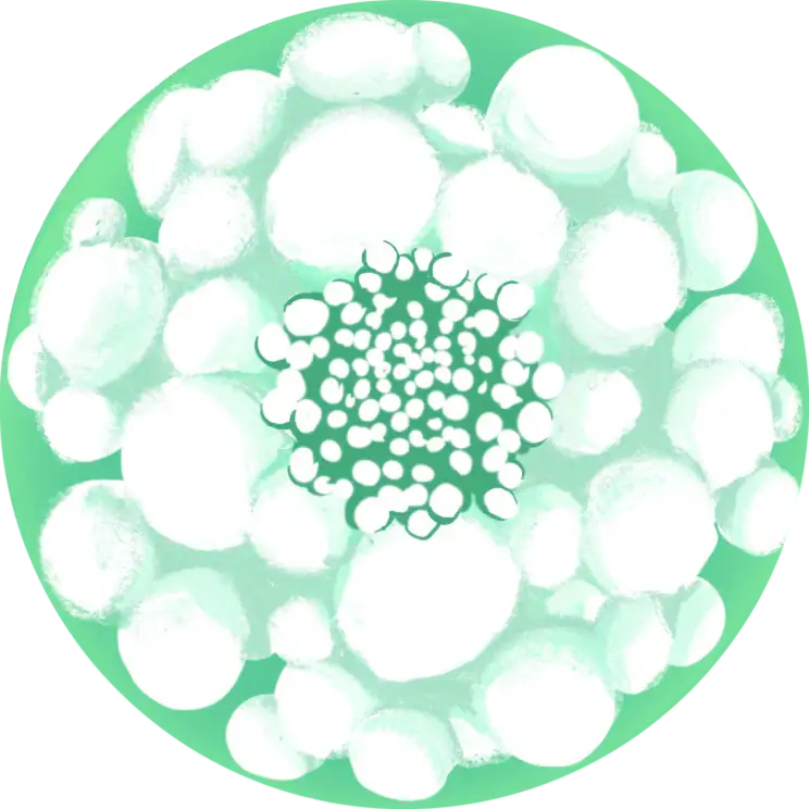 fleur de nuage