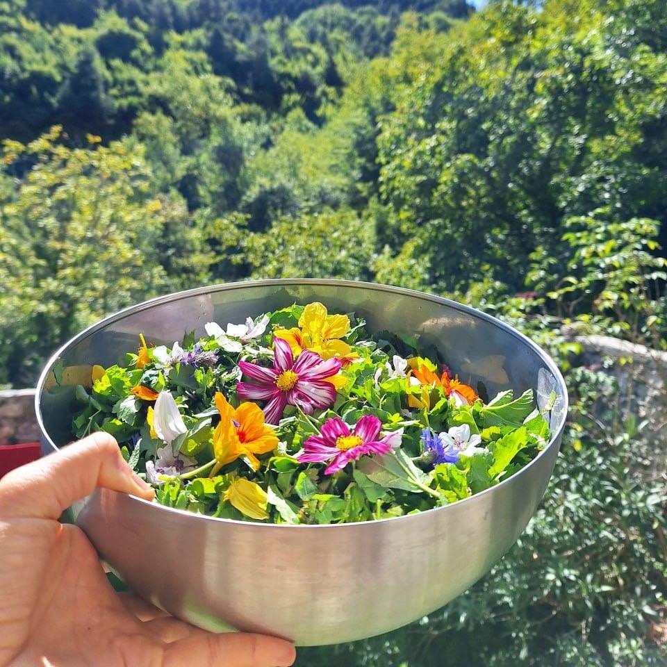 alimentation vivante