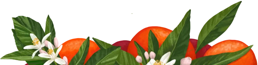 fleur d'oranger