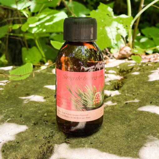 Sirop de Bourgeons de Pin