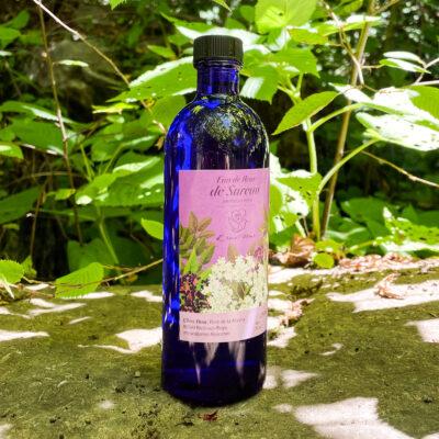 Eau de sureau
